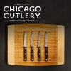 Corelle Dinnerware- Lightweight Essentials? 4-piece Steak Knife Set